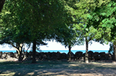 Rock Wall and Lake Michigan in Evanston